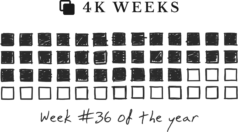 Week 36, 2024