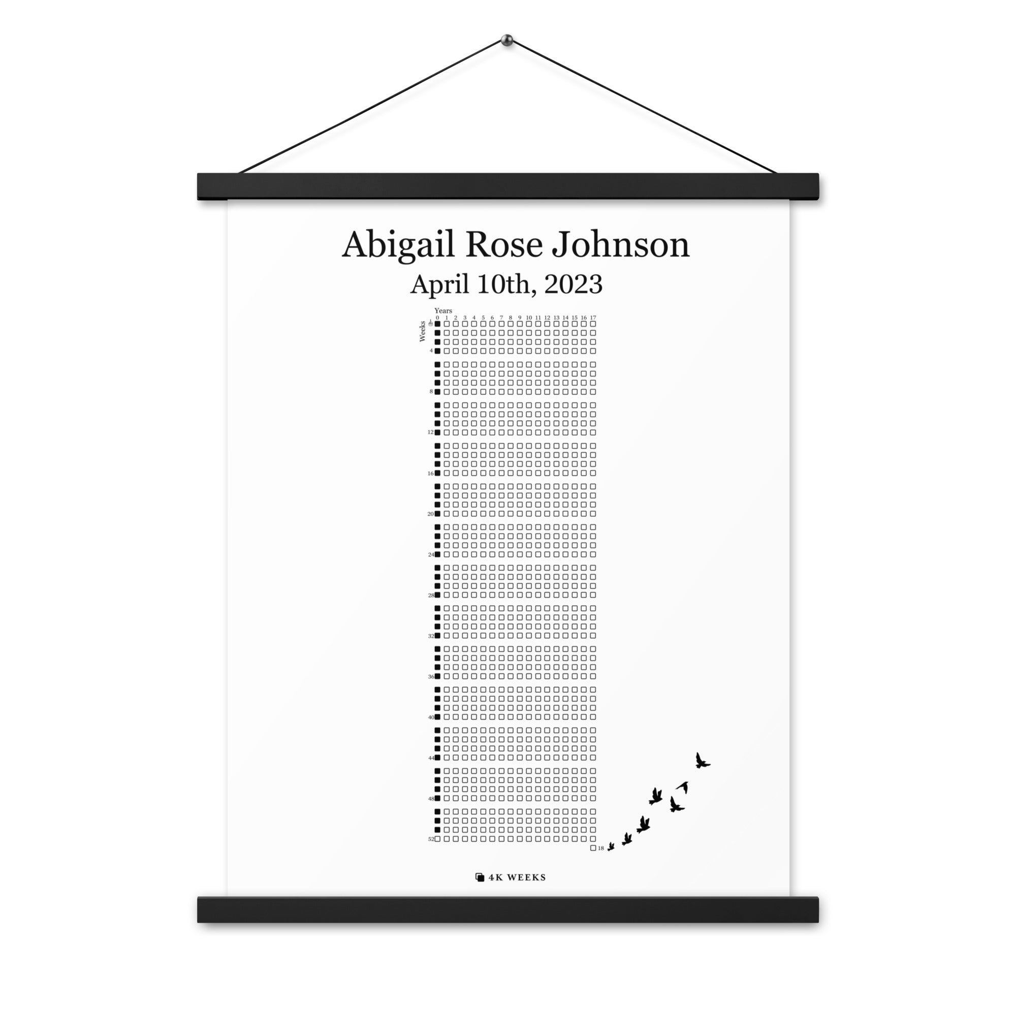 The 4K Weeks Blink of an Eye Poster (Tapestry)